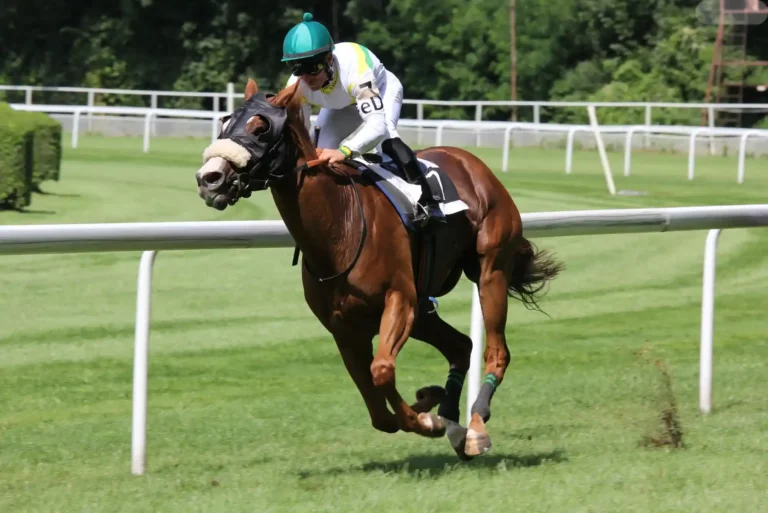 Elevating Your Game: Mastering Horse Racing Betting Elevating Your Game: Mastering Horse Racing Betting